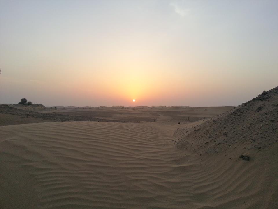 desert