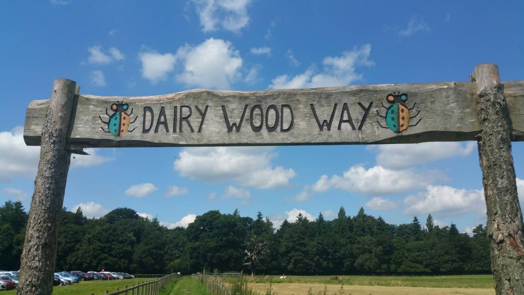 dairy wood