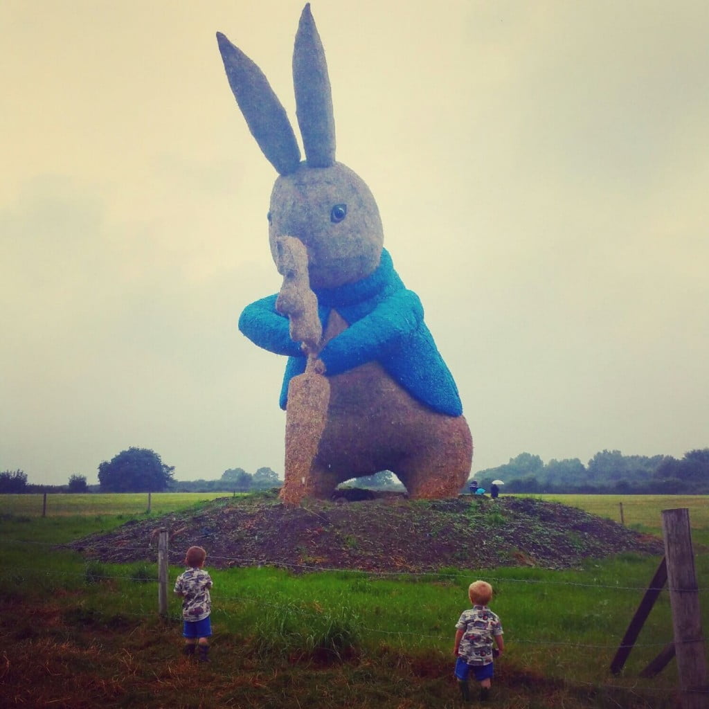 peter rabbit