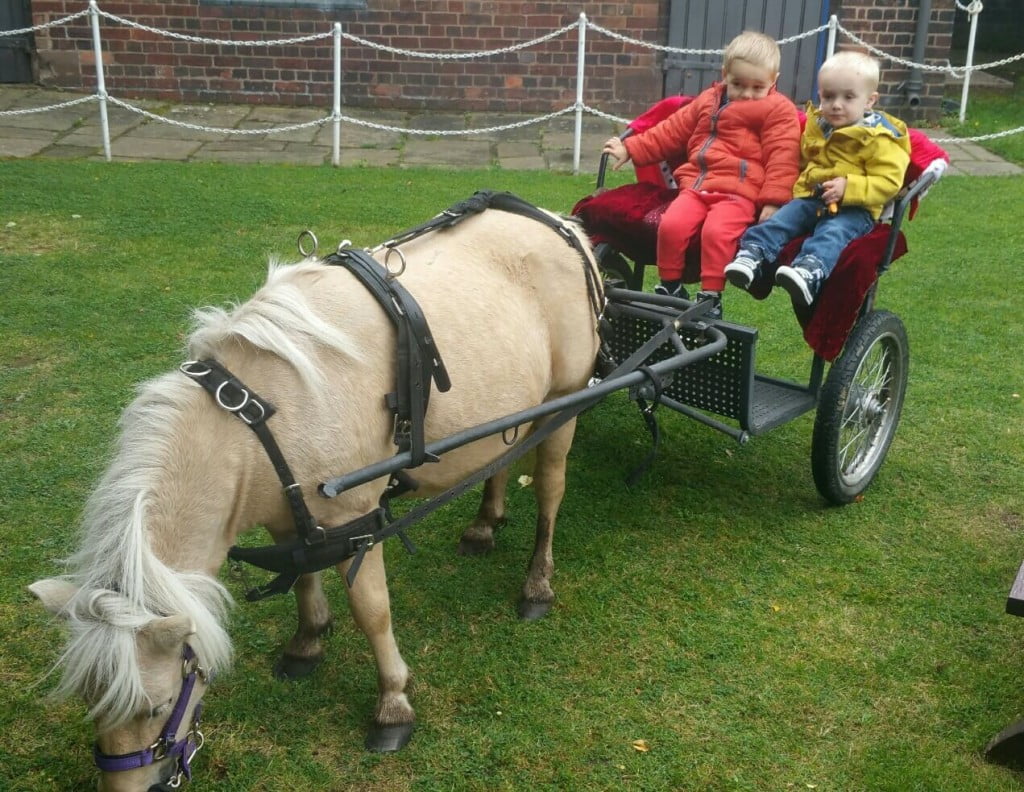 pony and cart
