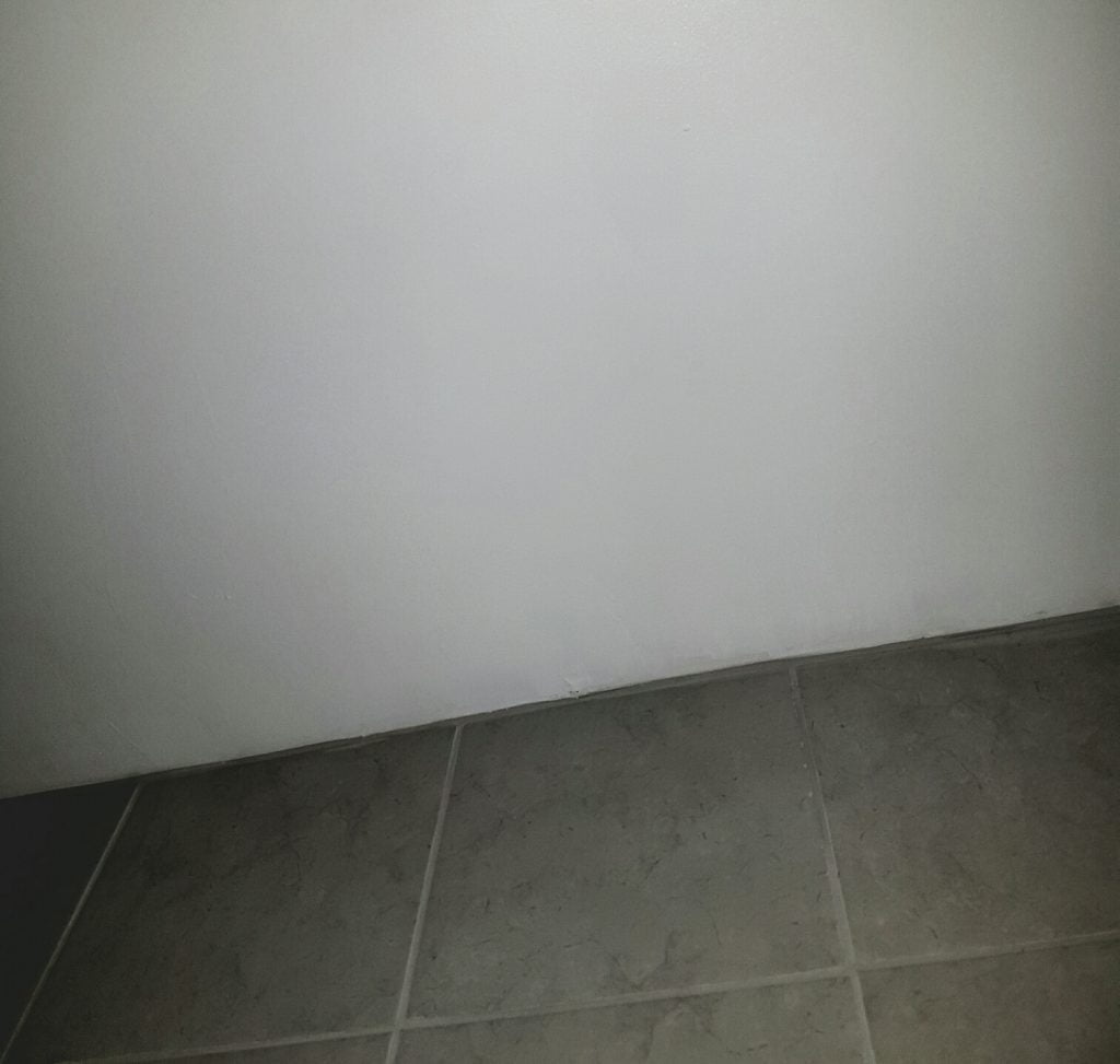 banishing bathroom mould