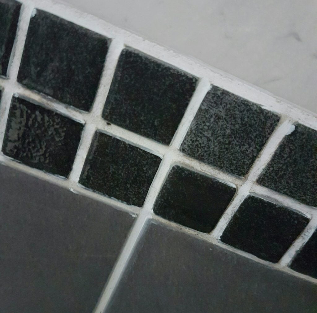 bathroom mould