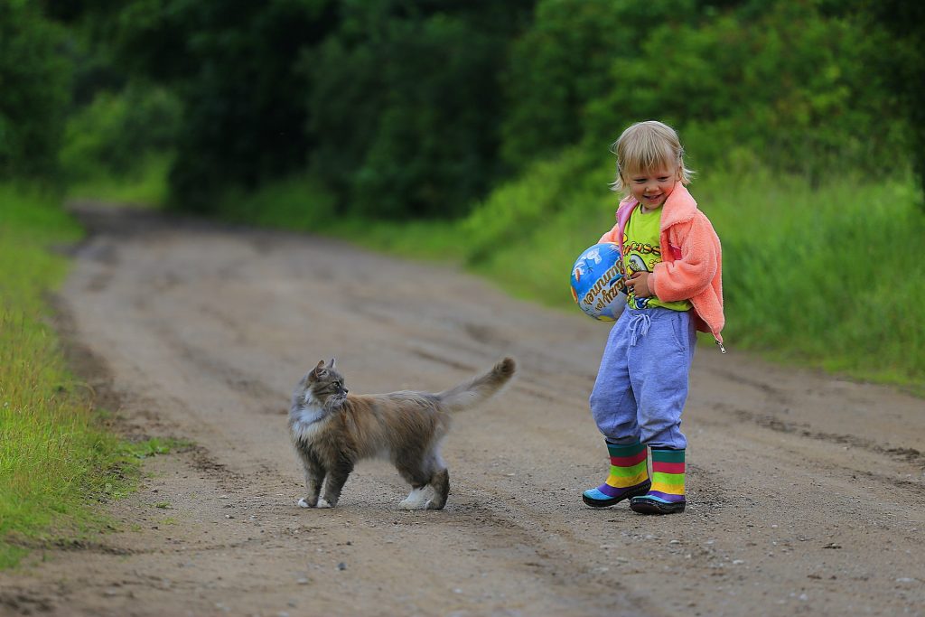 teaching children about animals