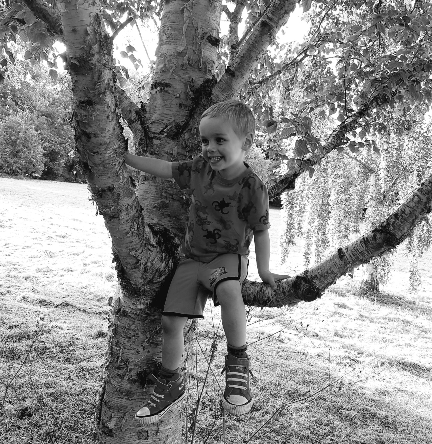 tree climbing