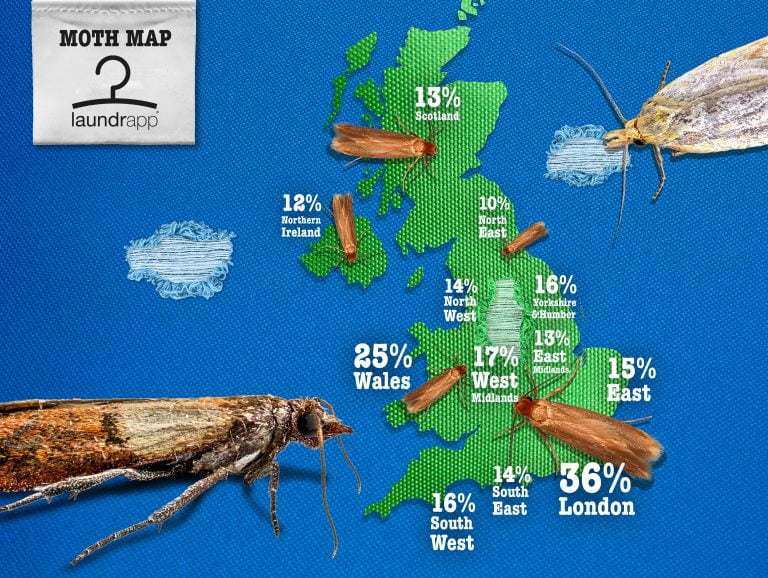 how to keep moths away from clothes