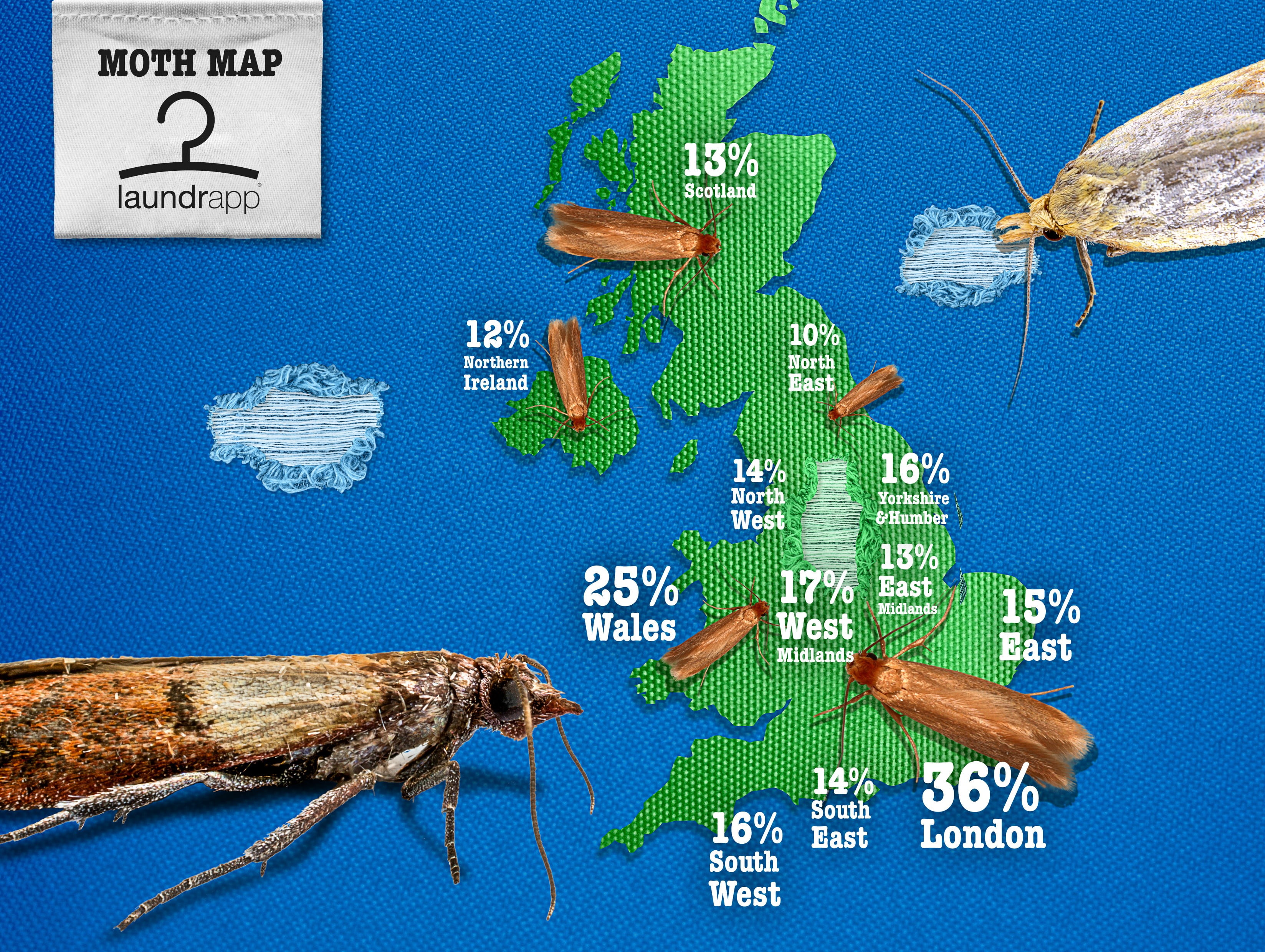 UNDERSTANDING CLOTHES MOTH INFESTATIONS