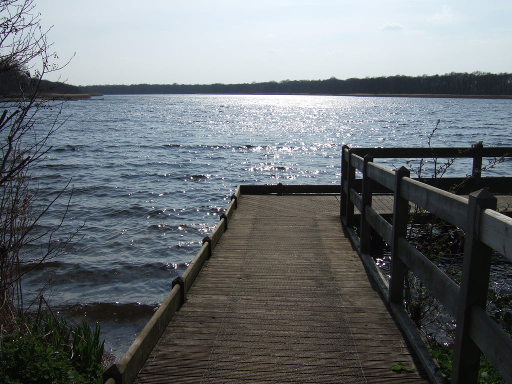 Norfolk Broads