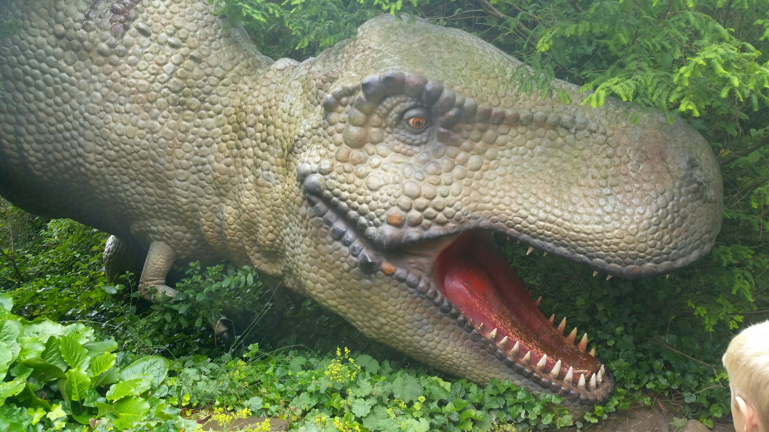 dinosaur park