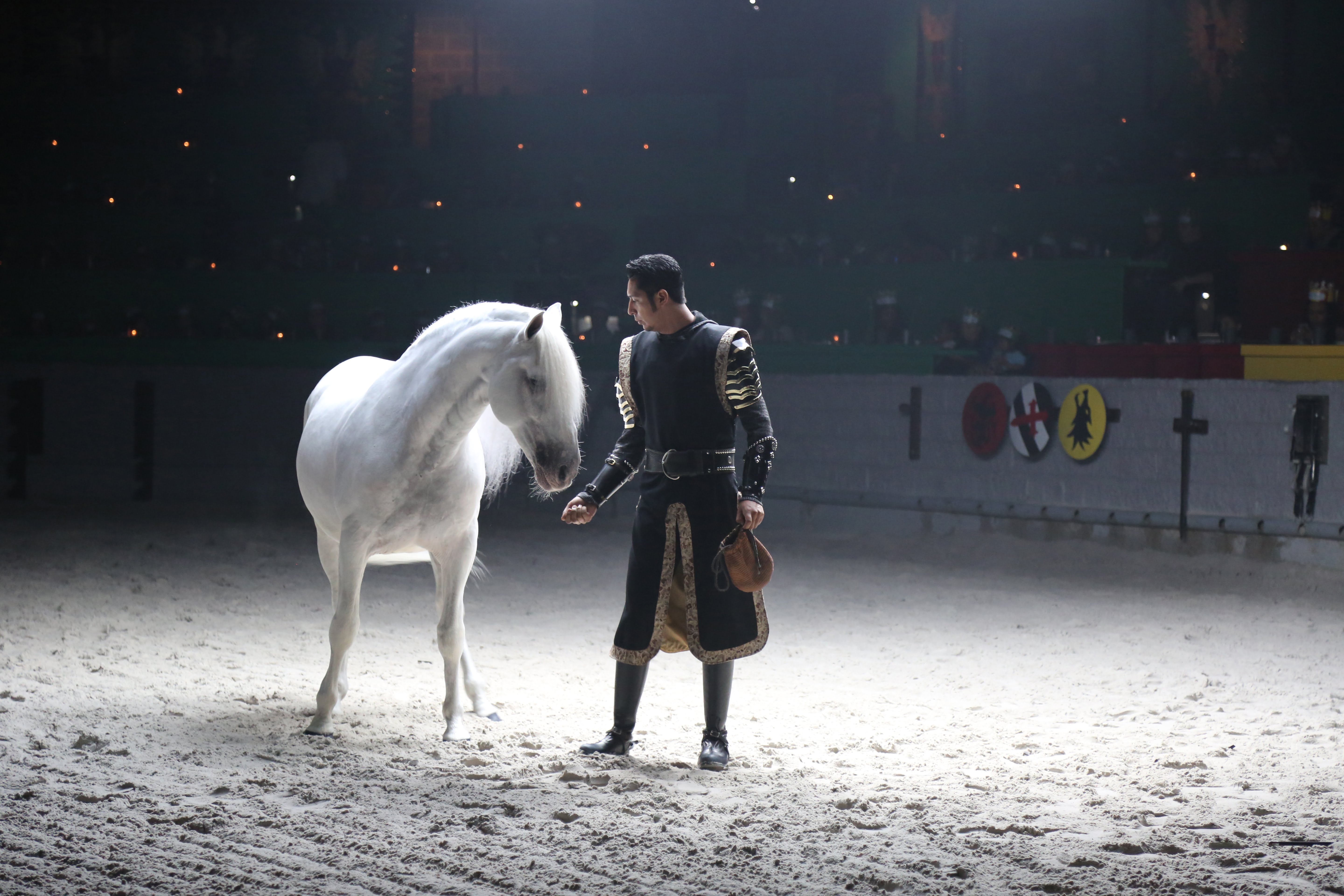 medieval times dinner show orlando