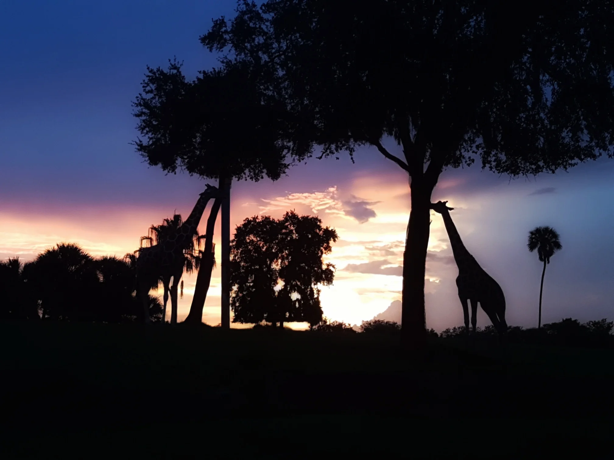 must do Florida attractions