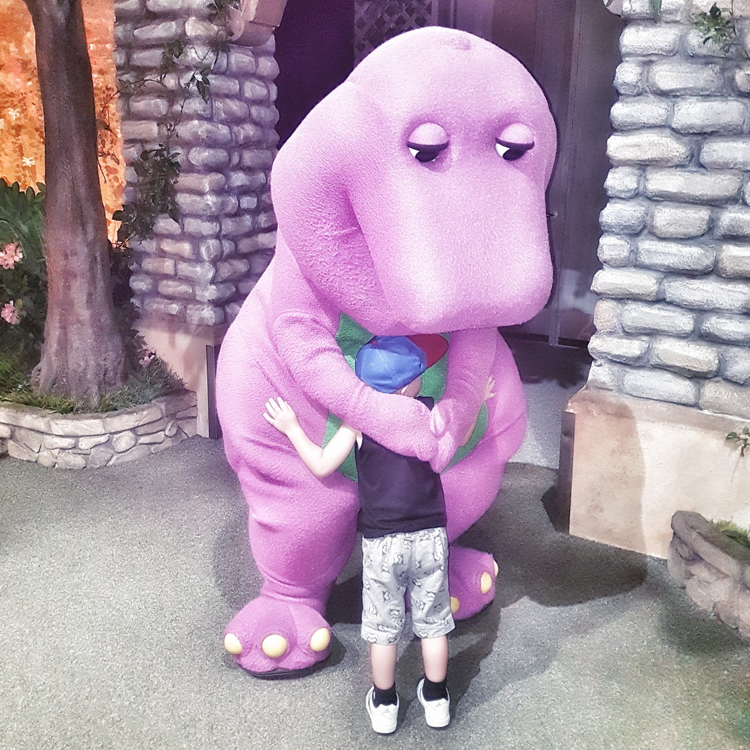 Barney Disneyland