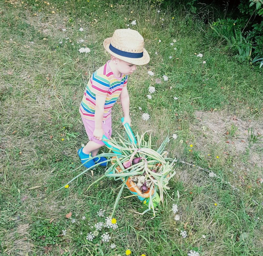 small boy gardening