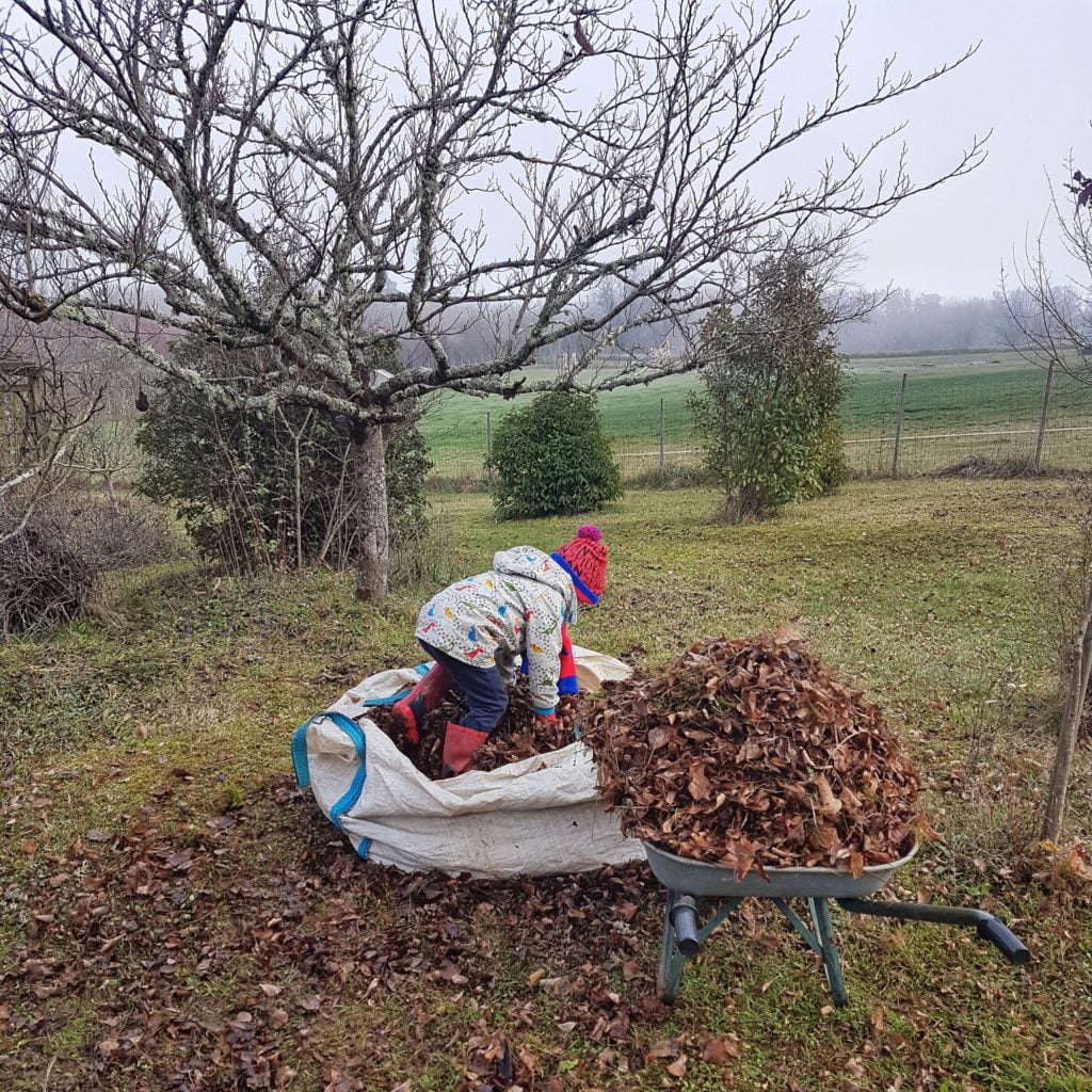 helping in the garden