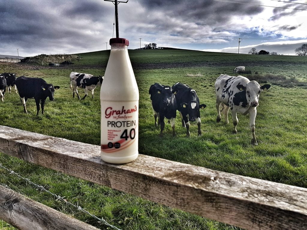 Graham's High Protein Milk