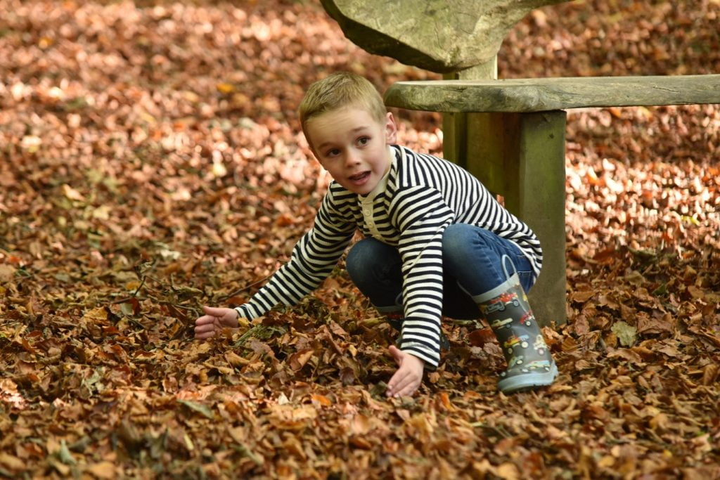 boy playing outside with leaves