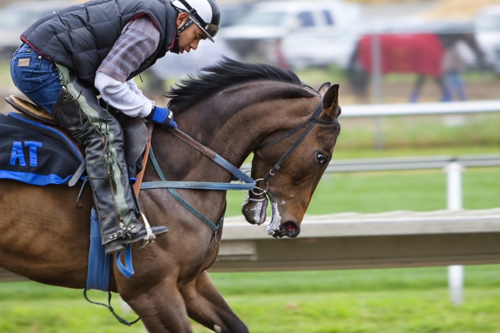 The Most Successful Jockeys in Horse Racing History - Mummy Fever