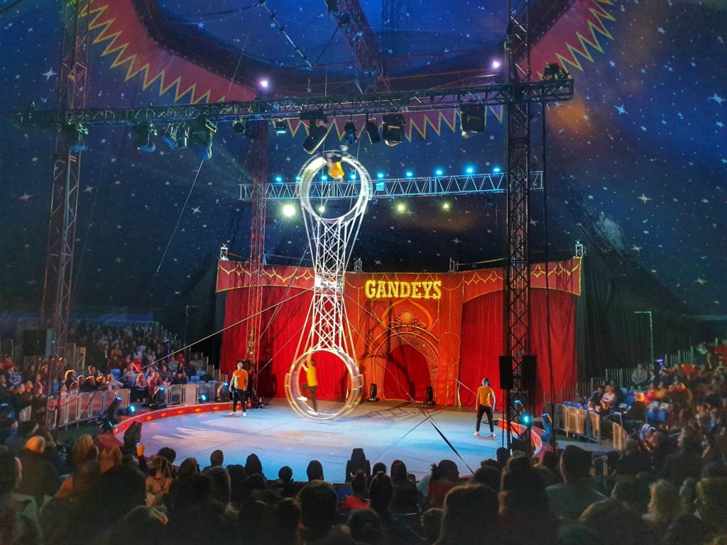 promotional code for gandeys circus