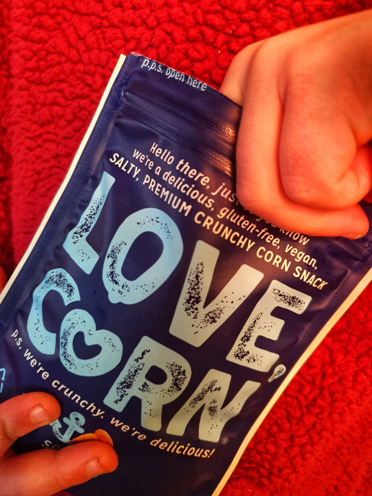 LOVE CORN | Salt & Vinegar Delicious Crunchy Corn | 1.6oz, 10 bags |  Low-Sugar, Gluten-Free, Plant Based, Non-GMO