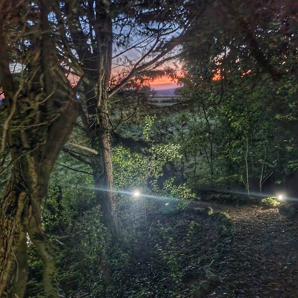 outdoor lights