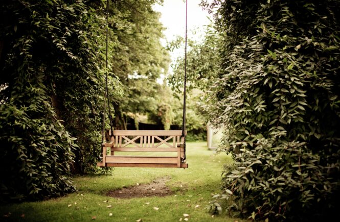 chair swing in garden