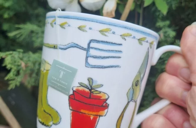 herbal tea in a mug
