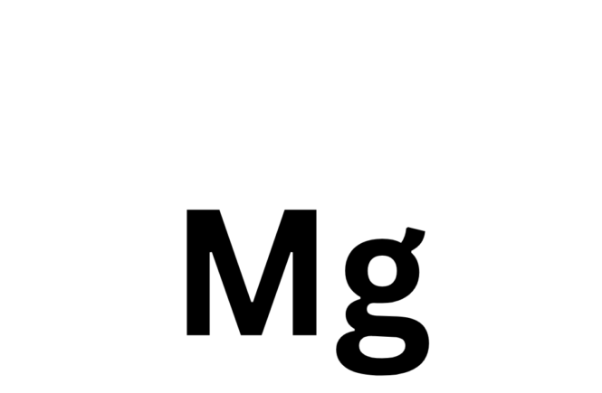 the importance of magnesium