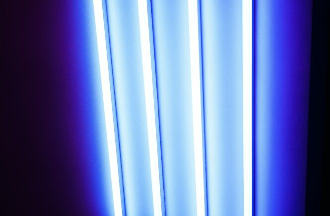 outdoor solar lights