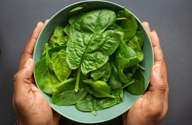 why magnesium matters