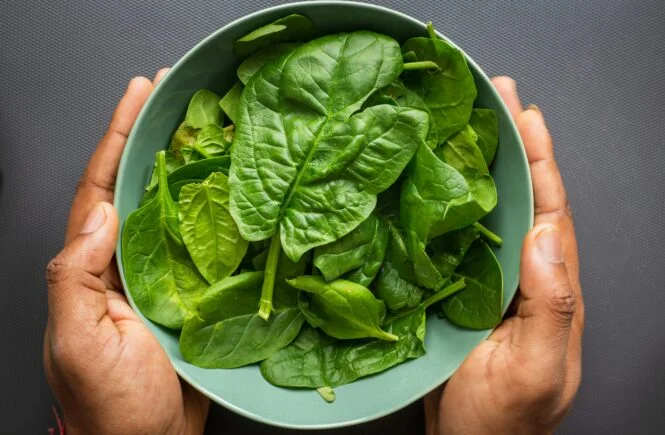 why magnesium matters