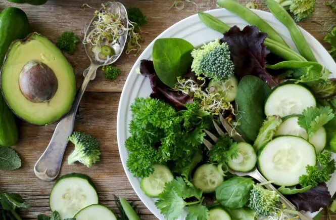 digestive health