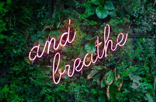 well-being tips for students