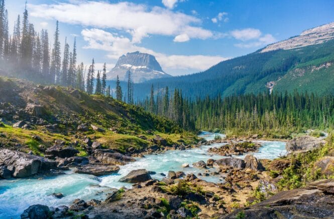 adventure holidays with kids