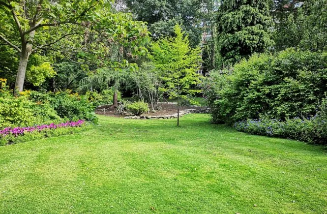 garden care