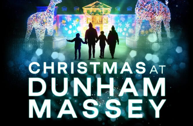 Dunham Massey Lights