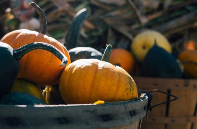 slow cooker winter foods