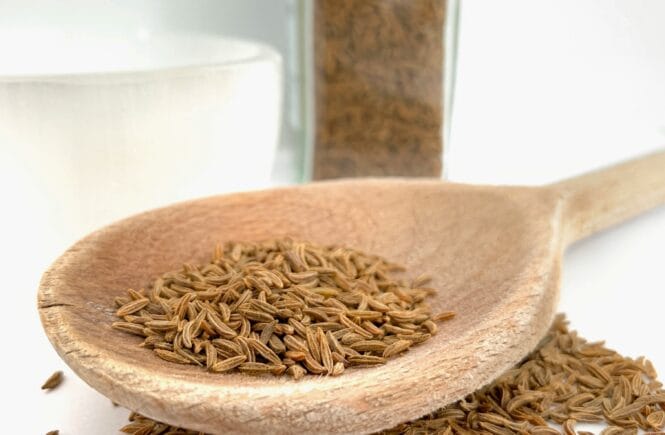 grains of brown rice